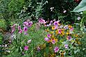 2009-08-14, Pillnitz (4)